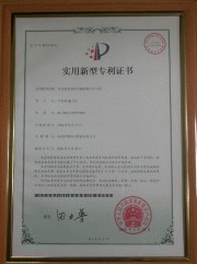 China Patent ZL 2004-2-0077278.0