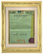 Taiwan Patent 113,703